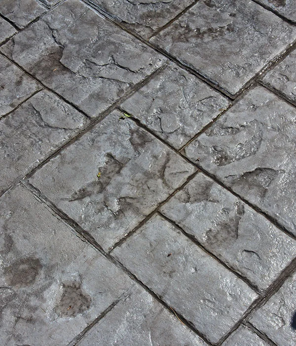 Colored concrete in Calgary applied to stamped concrete patio surfaces
